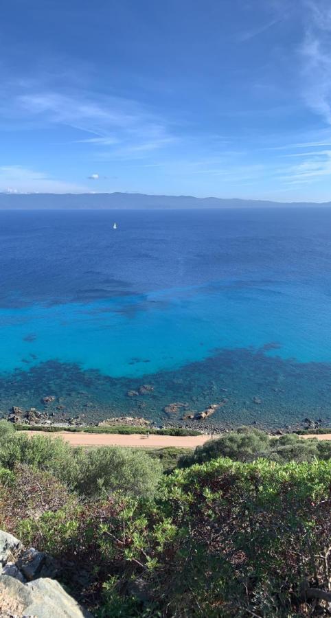 Magnifique Appartement Vue Mer, Spacieux Et Traversant Ajaccio  Dış mekan fotoğraf